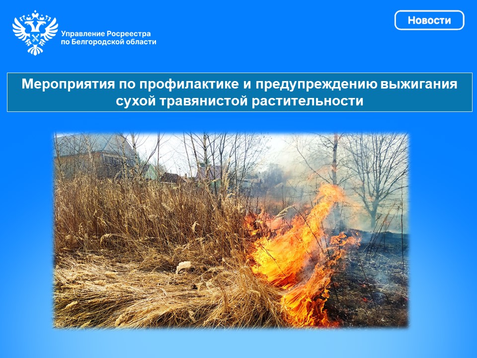 Мероприятия по профилактике и предупреждению выжигания сухой травянистой растительности.