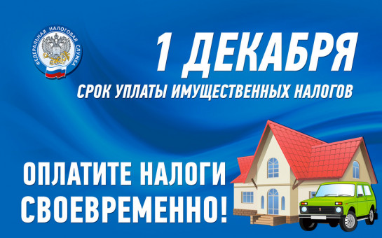 1 декабря 2025 года срок уплаты имущественных налогов физическими лицами за 2024 год..
