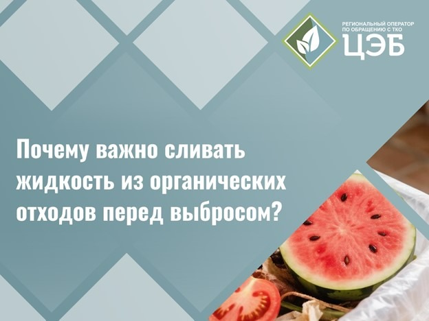 Сочная проблема: почему важно сливать жидкость из органических отходов перед выбросом.