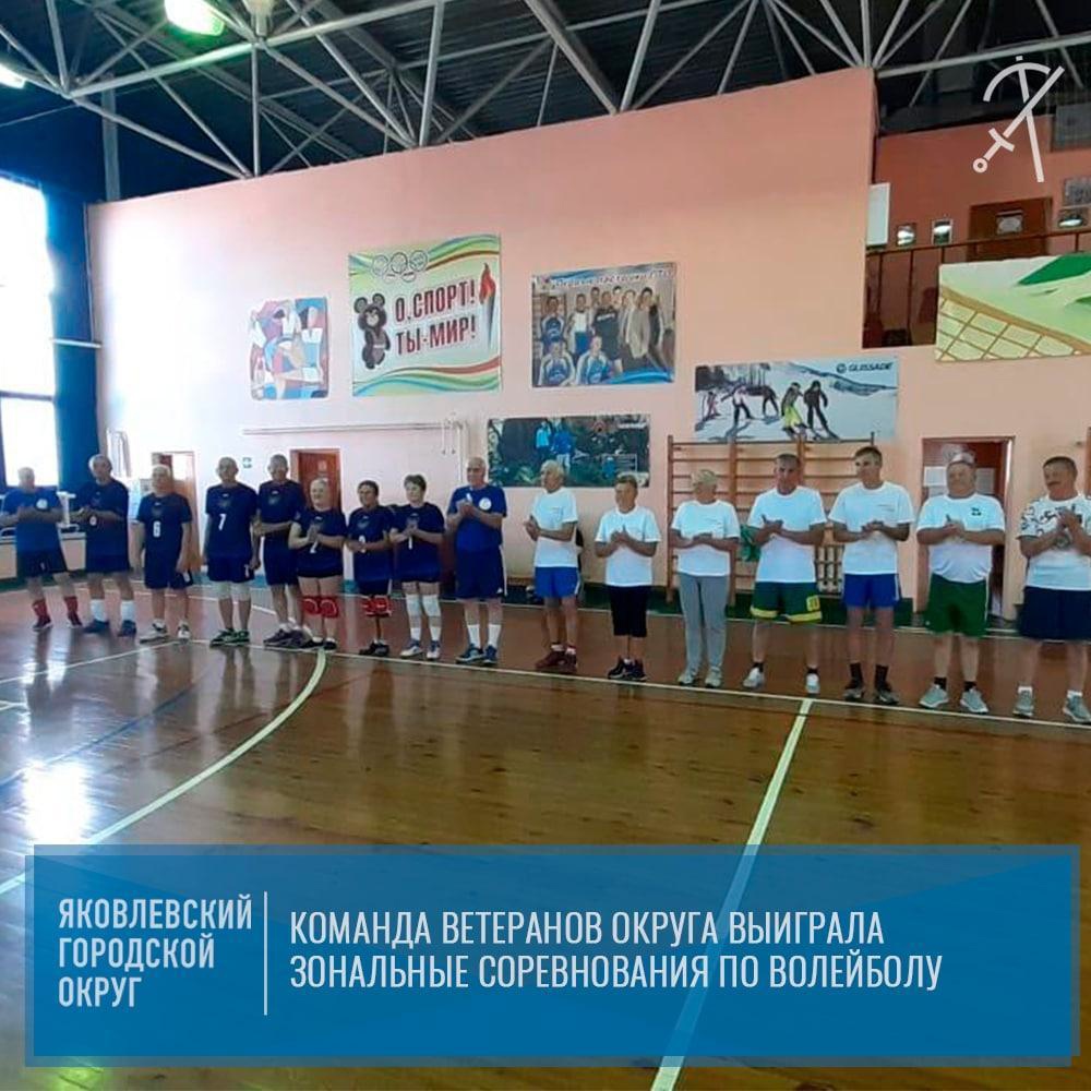 Зональные соревнования по волейболу среди ветеранов прошли в посёлке Ракитное
