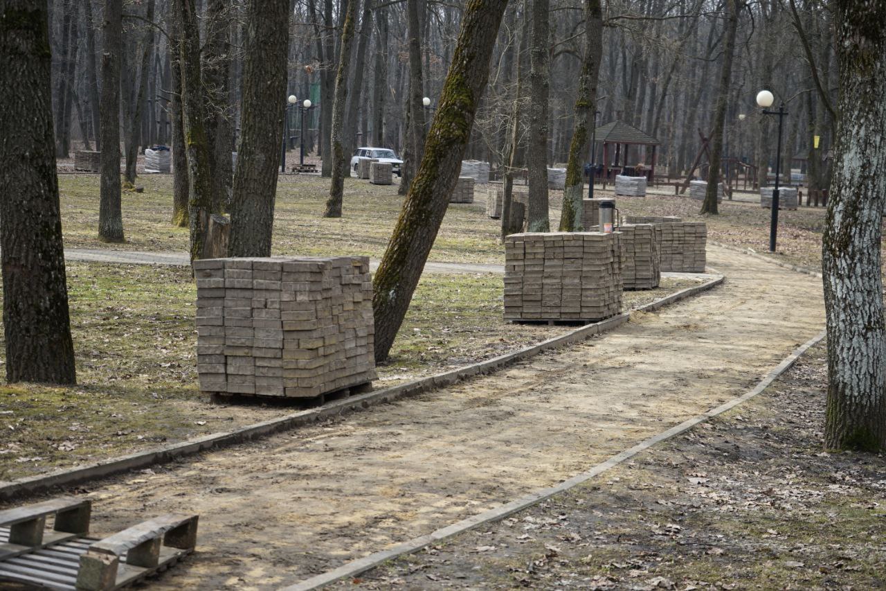 В парке Маршалково стартовали работы по реконструкции..