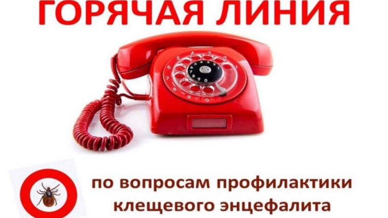 О проведении тематических горячих линий.