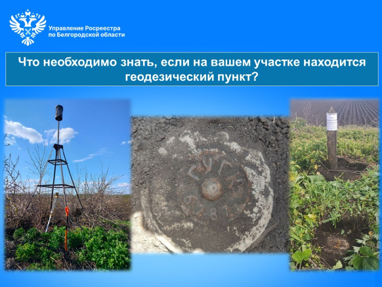 Что необходимо знать, если на вашем участке находится геодезический пункт?. Что необходимо знать, если на вашем участке находится геодезический пункт?.