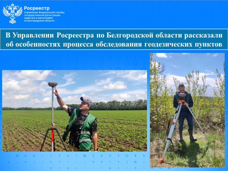 Об особенностях процесса обследования геодезщического пункта. Об особенностях процесса обследования геодезщического пункта.