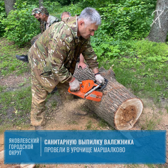8 июня в урочище Маршалково провели санитарную выпиловку валежника. 8 июня в урочище Маршалково провели санитарную выпиловку валежника.