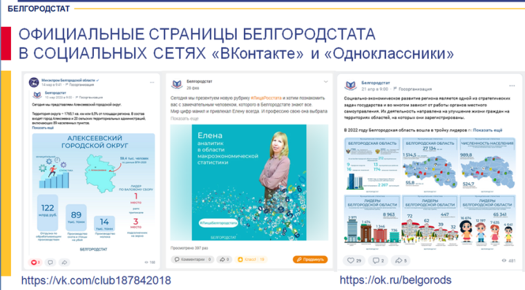 Вопросы совершенствования статистической информации  на территории Белгородской области.